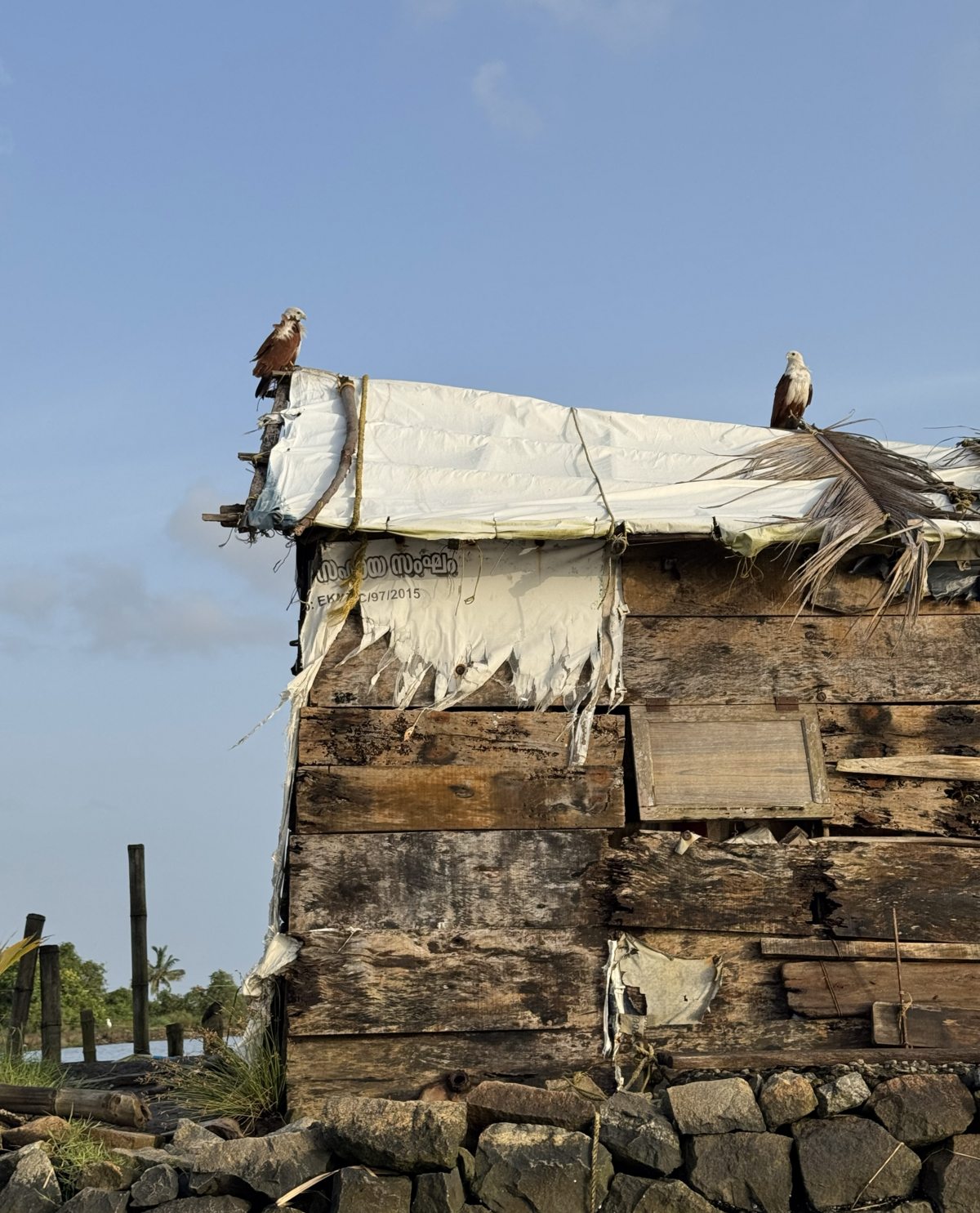 Kadamakudy backwaters in Kochi — one of my favorite places in the world, photographed while kayaking.